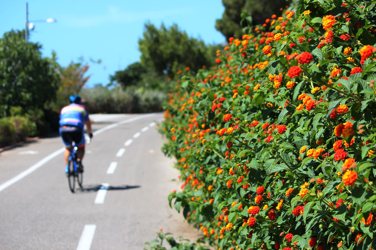 Ferragosto pista ciclabile